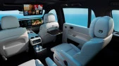 Apsauginis stiklas Pixsel galiniam monitoriui LI AUTO L6 - 16.7“ 2024 -